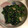 ＊kanakana＊'s cooksnap of when they made ほうれん草ときのこのナムル.