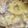 トラととら's cooksnap of when they made 失敗しない！簡単ホワイトソースでグラタン.