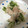 クックVQOYNZ☆'s cooksnap of when they made 簡単･節約♡水菜の豚肉巻き.