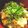 acobell's cooksnap of when they made 簡単　塩親子丼.