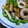 ありつば's cooksnap of when they made ちくわとピーマンの炒め物.