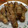 chazu's cooksnap of when they made 厚揚げの肉巻き.