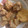 クックZ8J4H4☆'s cooksnap of when they made きな粉でサクサク！むね肉の竜田揚げ.