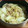 ごにょ's cooksnap of when they made 白菜と豚こまと糸こんにゃくのカレー炒め.