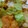 クック5671WF☆'s cooksnap of when they made キャベツと厚揚げの炒め物.
