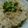 ☆shizu's cooksnap of when they made ☆ツナ&しょうがの炊き込みご飯☆.