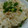 ☆shizu's cooksnap of when they made ☆ツナ&しょうがの炊き込みご飯☆.