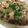 うぱぱ☆'s cooksnap of when they made ケチャップon鯖缶.