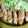 クックXEG1MN☆'s cooksnap of when they made 絶品！ガリのピリッと豚肉巻.