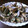 rosemary34's cooksnap of when they made あさりとしめじの酒蒸し.