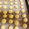 marimarimarippe's cooksnap of when they made ホワイトチョコのスノーボール.