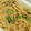 クックU8XZ6O☆'s cooksnap of when they made 無塩料理☆切り干し大根と枝豆の簡単白和え.