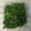 おくとぱすがーでん's cooksnap of when they made いんげんのお浸し.