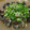 yukarin16's cooksnap of when they made かつおのたたきをひと工夫！.
