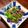 YoneーYone's cooksnap of when they made 菜の花とホタルイカの辛子酢味噌和え.