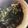 satomifu's cooksnap of when they made 茎わかめとツナの佃煮.
