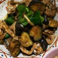 亜矢佳's cooksnap of when they made 超簡単！なすと豚肉の味噌炒め.