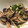 Ayako0713's cooksnap of when they made なすと豚肉のさっぱり炒め.
