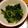 サトモユリア's cooksnap of when they made ほうれん草とえのき和え(お弁当の緑).