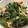 ルナＰボール's cooksnap of when they made ほうれん草の胡麻和え.