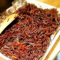 nrkc's cooksnap of when they made いかなごのくぎ煮.