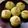 みそゆうき's cooksnap of when they made ムチムチ　はんぺん蒸し.
