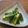 Mawaru7's cooksnap of when they made きゅうりの浅漬け.