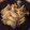 かめのももこ's cooksnap of when they made ☆しらたきとしめじの煮物☆生姜風味.