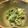 moon314's cooksnap of when they made 明日葉マヨ和え.