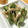 ｃｈｏｌｏｎ's cooksnap of when they made きゅうりとささみの胡麻味噌和え.
