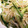 はに333's cooksnap of when they made ５分で簡単♪もやしときゅうりのナムル♪.