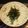ジョングレ's cooksnap of when they made お茶漬の素で☆海苔クリームスープご飯.