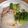 クックZ8J4H4☆'s cooksnap of when they made 白滝たらこ炒め.