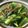 ✳︎ゆきん✳︎'s cooksnap of when they made 「サラダ小松菜」と豚肉油揚げ炒め.