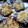 うさこ巻's cooksnap of when they made しいたけdeふわとろ納豆焼き.