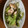 mr.big's cooksnap of when they made 簡単！エビと小松菜の香草炒め☆*。.
