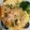 ざらり's cooksnap of when they made ツナで☆エスニックカレーヌードル.
