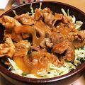 あおりんぬす's cooksnap of when they made 玉ねぎたっぷり、スタミナ丼！.