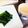 kazuuuamtg's cooksnap of when they made 一文字ぐるぐる（熊本郷土料理）.