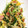 はに333's cooksnap of when they made 水菜とベーコンと卵の炒めもの.