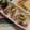 愛うらら's cooksnap of when they made 簡単☆くるくるちくわ.