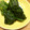 心の空's cooksnap of when they made シャキシャキほうれん草のゆで方☆.