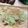 もきんこ's cooksnap of when they made ポテトロスティ（じゃがチーズ焼き）.