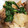 boorand's cooksnap of when they made 豚肉と大根の中華風煮物.