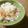 Jaye's cooksnap of when they made もやしと天かすのポン酢かけ.