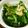 みしゃとる's cooksnap of when they made 菜の花のおひたし.