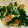 ❀みぃ❀'s cooksnap of when they made ほうれん草のバター炒め 粉チーズのせ.