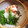 みぃーーみ☆'s cooksnap of when they made おいしい土鍋ご飯の炊き方.