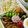 two_moons's cooksnap of when they made 【再現レシピ】コーンご飯.