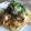 Eye candy's cooksnap of when they made 大根おろしのさっぱり和風パスタ.